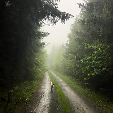 Διαμέρισμα Am Koenigsberg, Loessau Schleiz