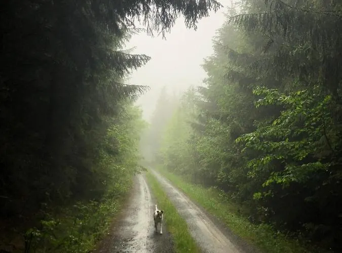 Appartement Am Koenigsberg, Loessau Schleiz