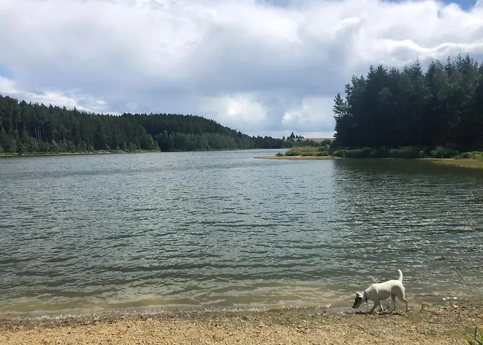 Am Koenigsberg, Loessau 아파트