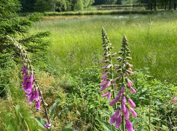 公寓 Am Koenigsberg, Loessau