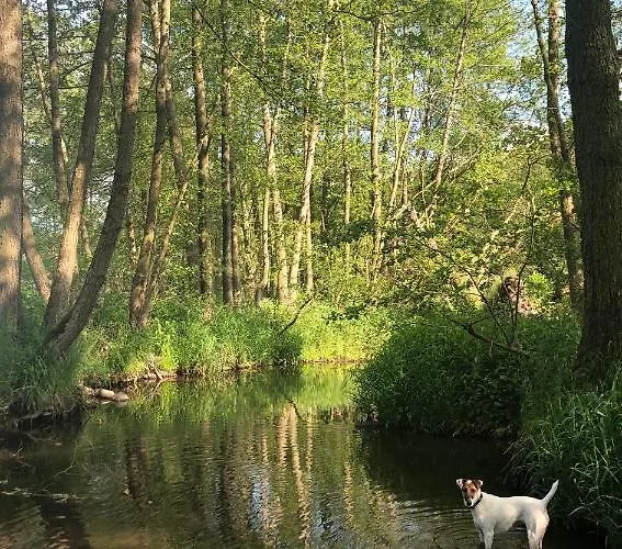 Am Koenigsberg, Loessau Schleiz